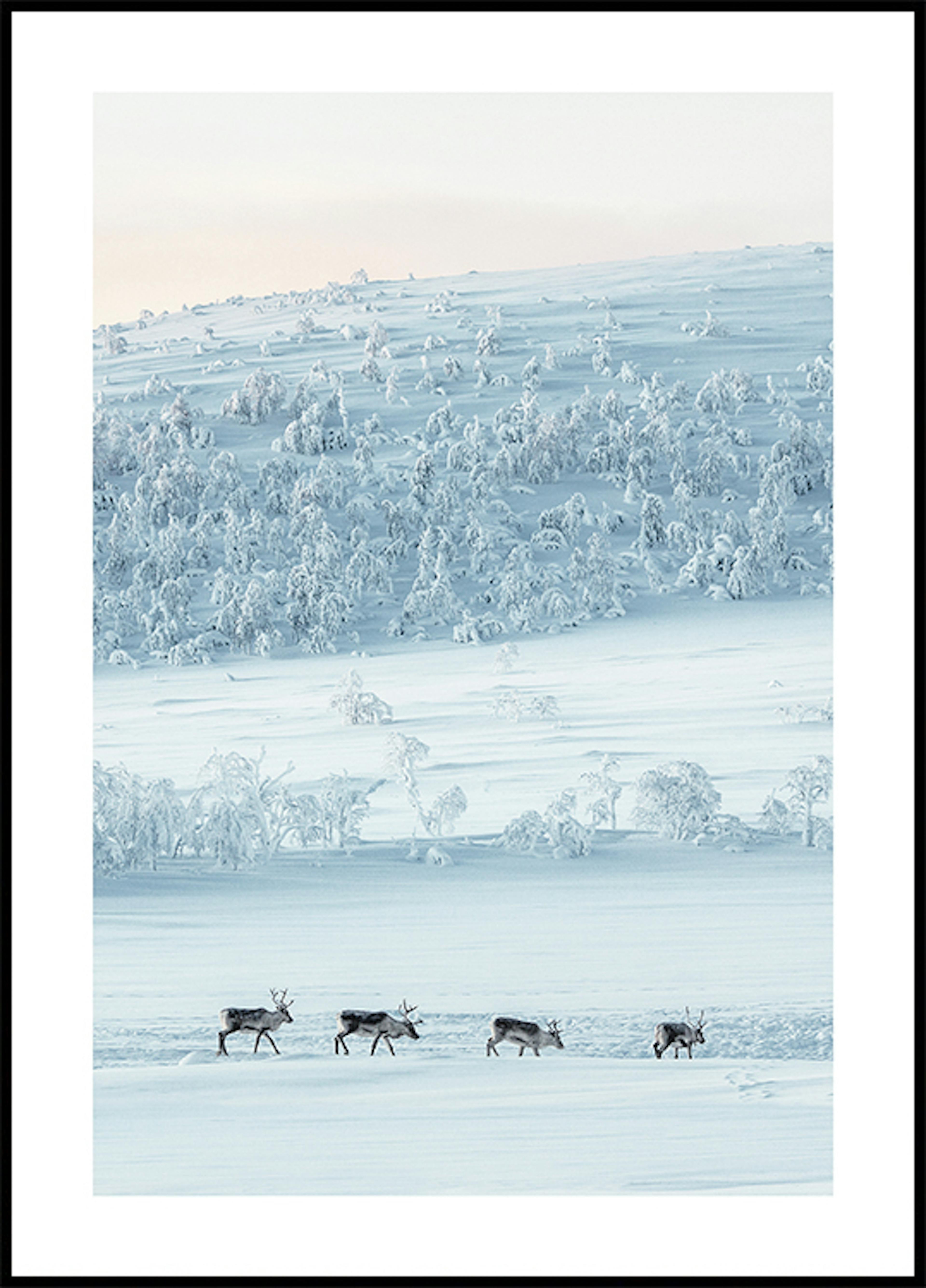 Snowscape Reindeers Poster 0