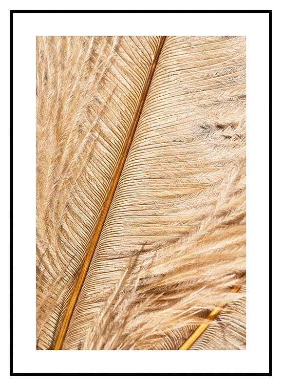 Złote Pióro Plakat (30x40 cm) - Poster Store