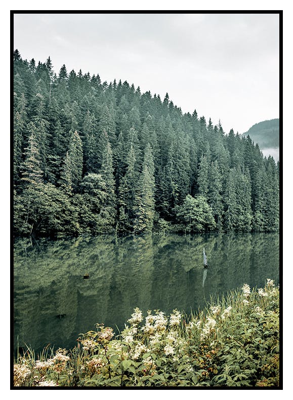 Skogslandskap No1 Poster (50x70 cm) - Poster Store
