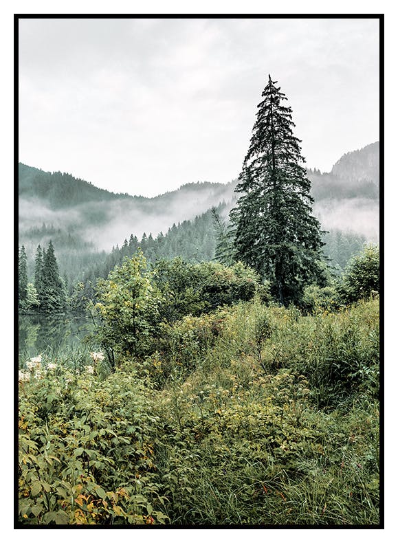 Plakat Krajobraz Leśny nr 2 (30x40 cm) - Poster Store