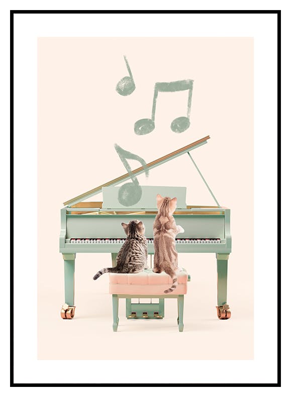 Katter som spelar piano Poster (21x30 cm) - Poster Store