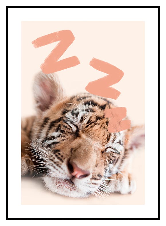 Stampe sul bambino addormentato della tigre (21x30 cm) - Poster Store