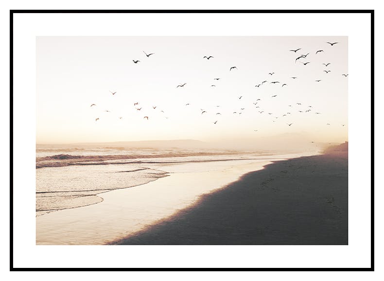 Freier Strand Poster (50x70 cm) - Poster Store