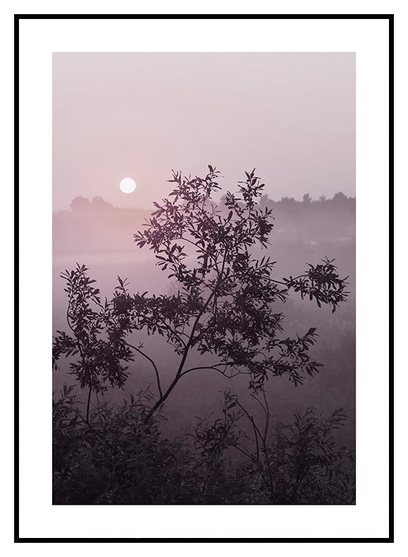 Baum im Dunst Poster (30x40 cm) - Poster Store
