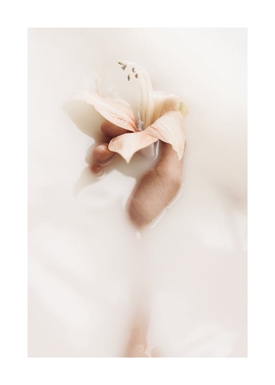 Soft Lily Plakat 0