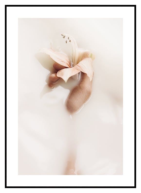 Blød lilje Plakat (21x30 cm) - Poster Store
