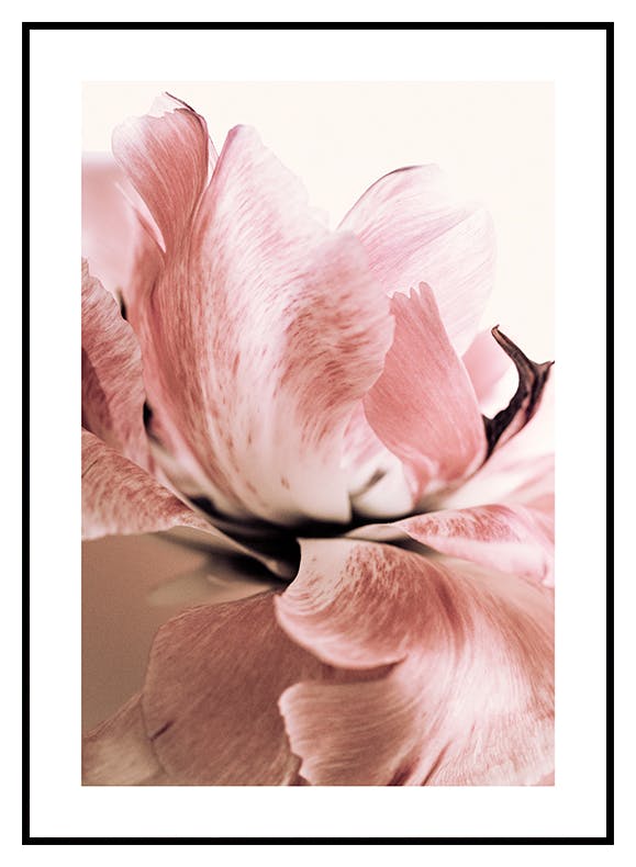 Poster med rosa lilja (21x30 cm) - Poster Store