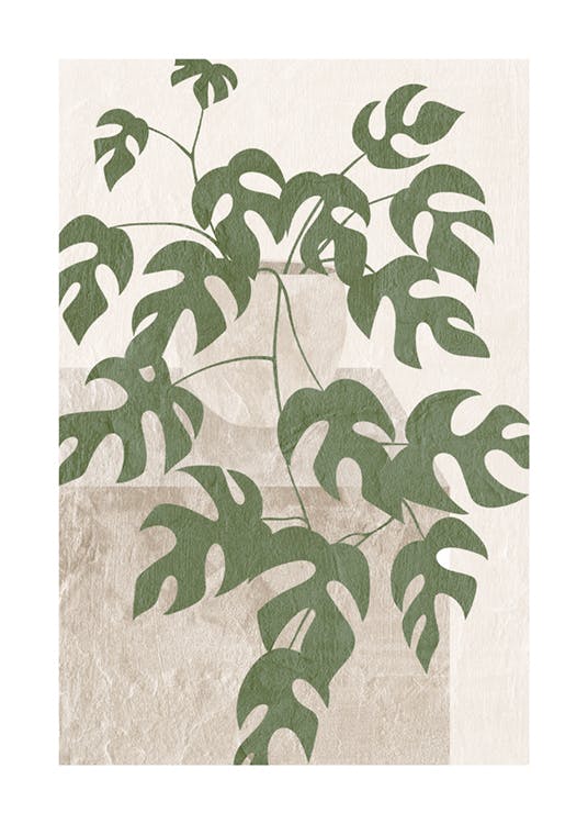 ملصق توضيحي لنبات المونستيرا 0