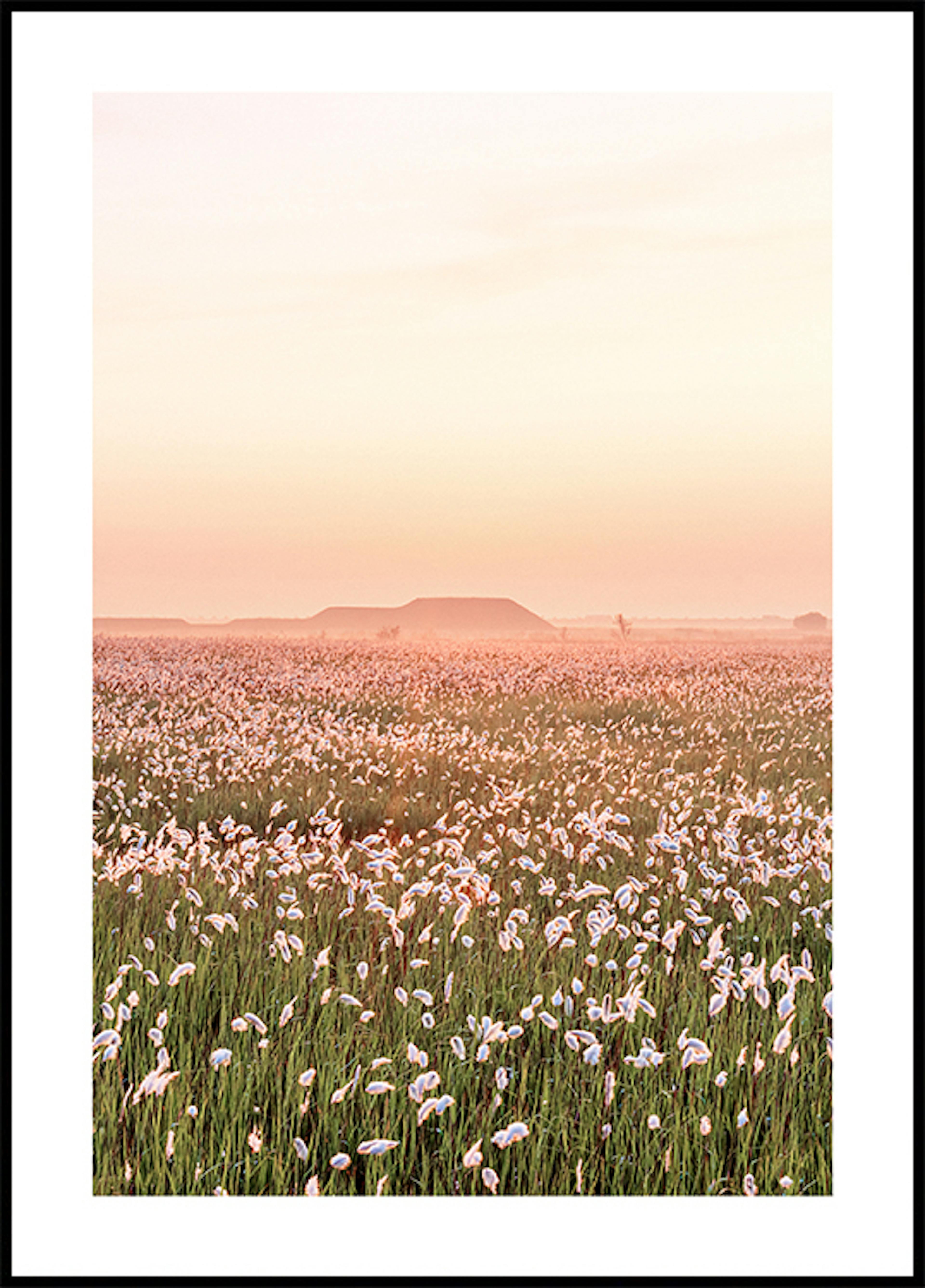 Blumenfeld Sonnenuntergang Poster 0