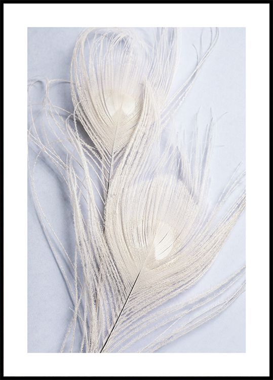 White Feather Poster