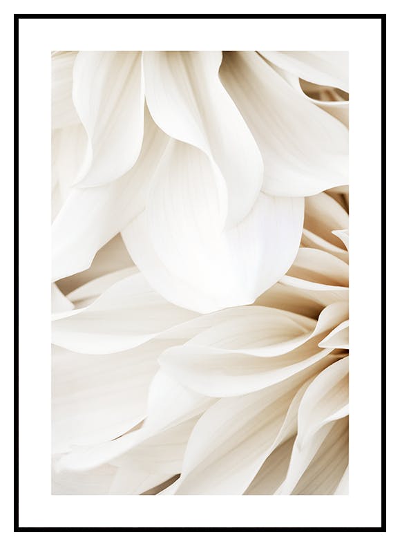 Dahliadröm No1 Poster (30x40 cm) - Poster Store