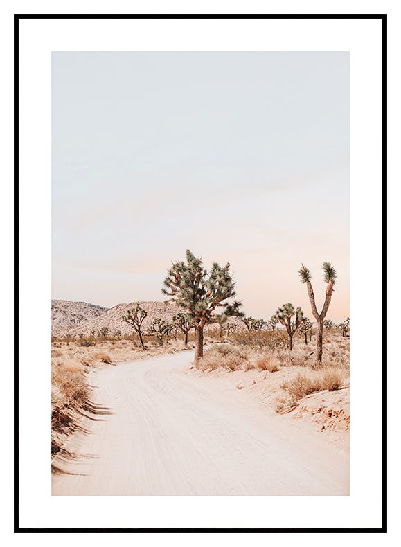 Joshua Tree Road Poster (50x70 cm) - Poster Store