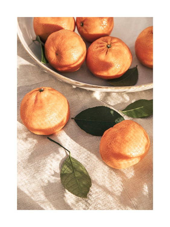 Sinaasappels in de Zon Poster 0