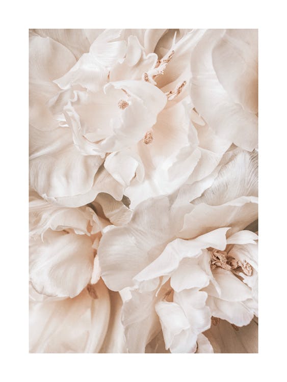 Poster Soothing Blossoms 0