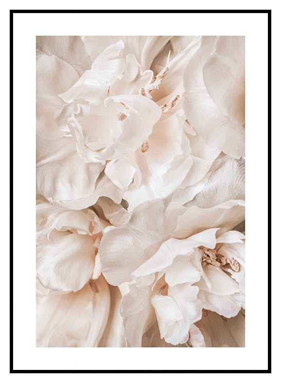 Lugnande blommor Poster (50x70 cm) - Poster Store