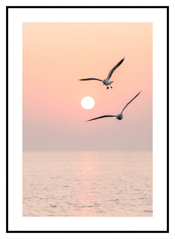 Poster Flying Pair (30x40 cm) - Poster Store