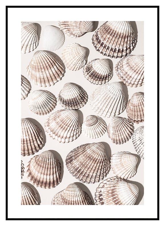 Morskie skarby Plakat (30x40 cm) - Poster Store