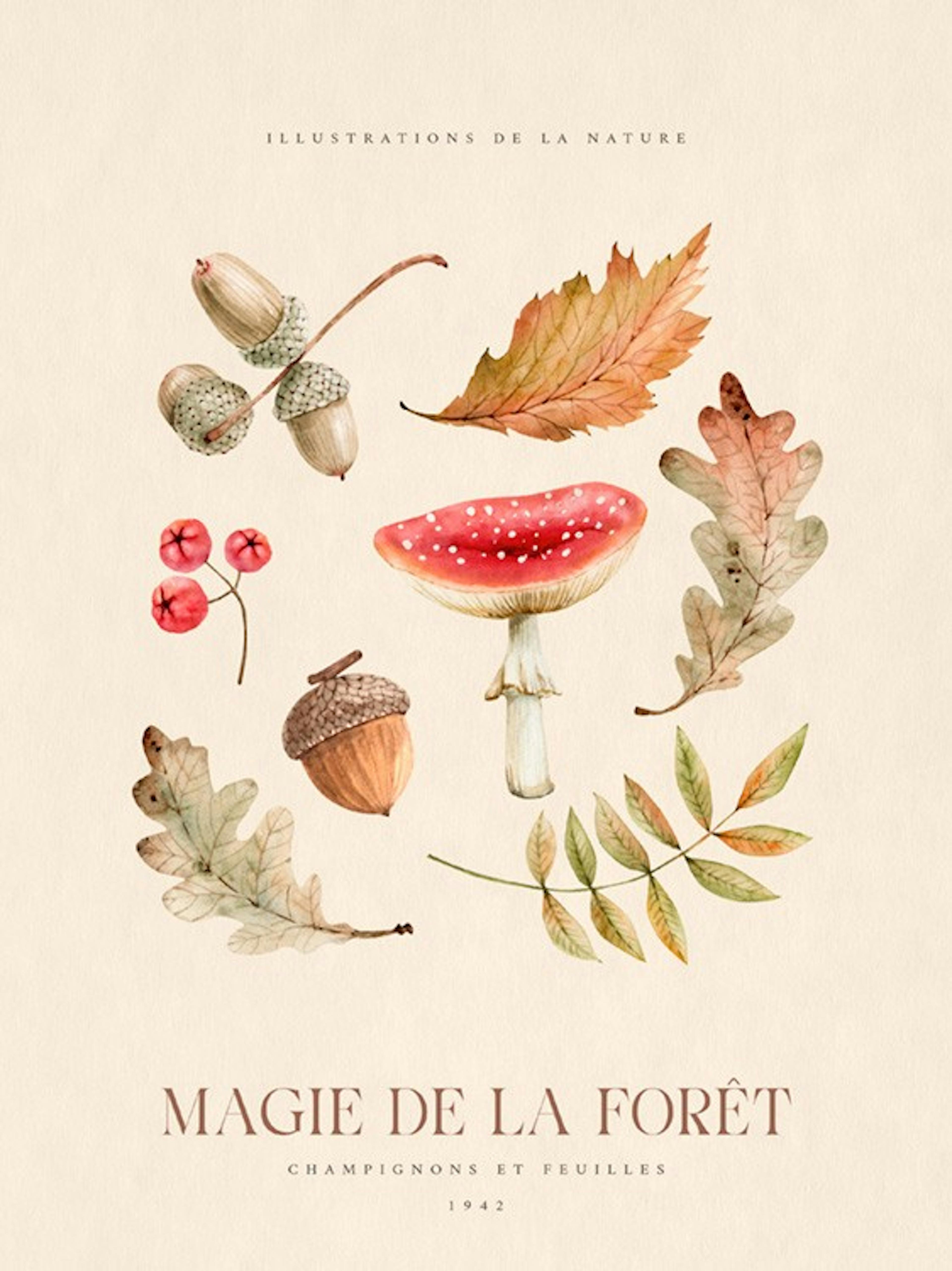 Magie de la Forêt N°1 Poster 0