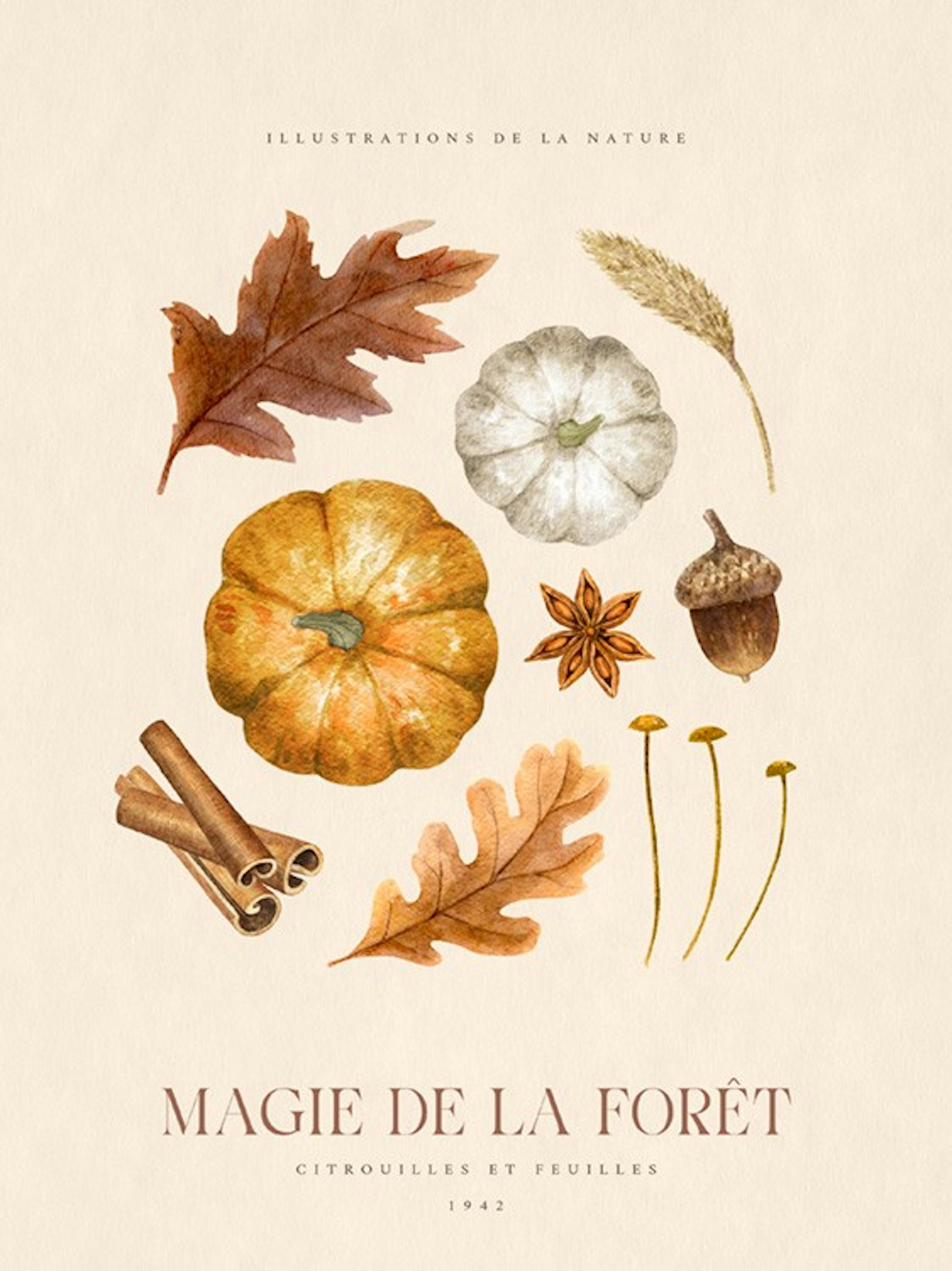 Magia della Foresta N2 Poster 0