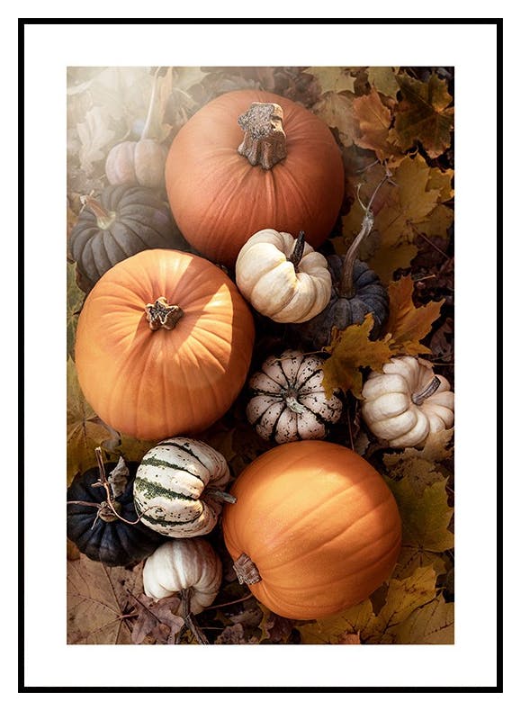 Græskar Plakat (50x70 cm) - Poster Store