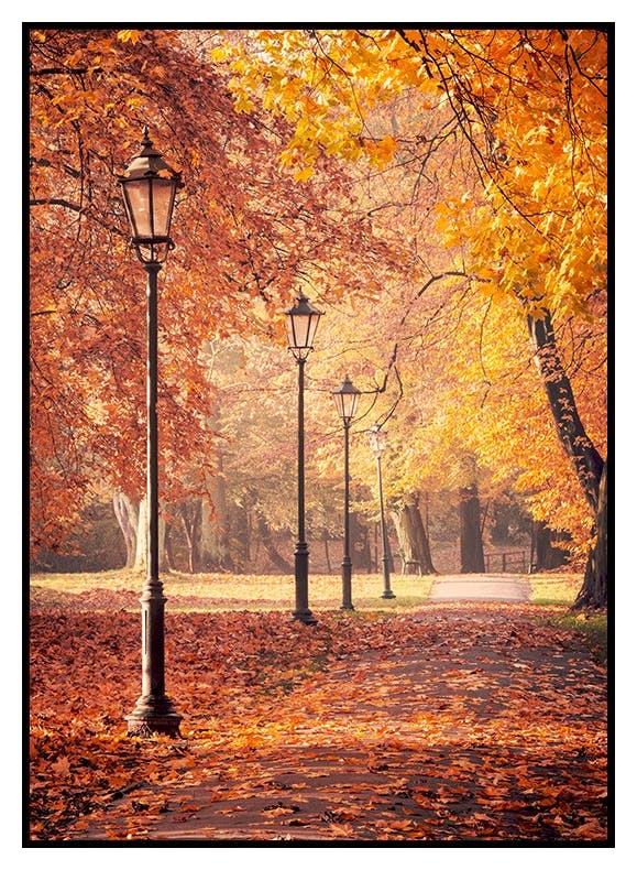 Jesienny Spacer Plakat (50x70 cm) - Poster Store