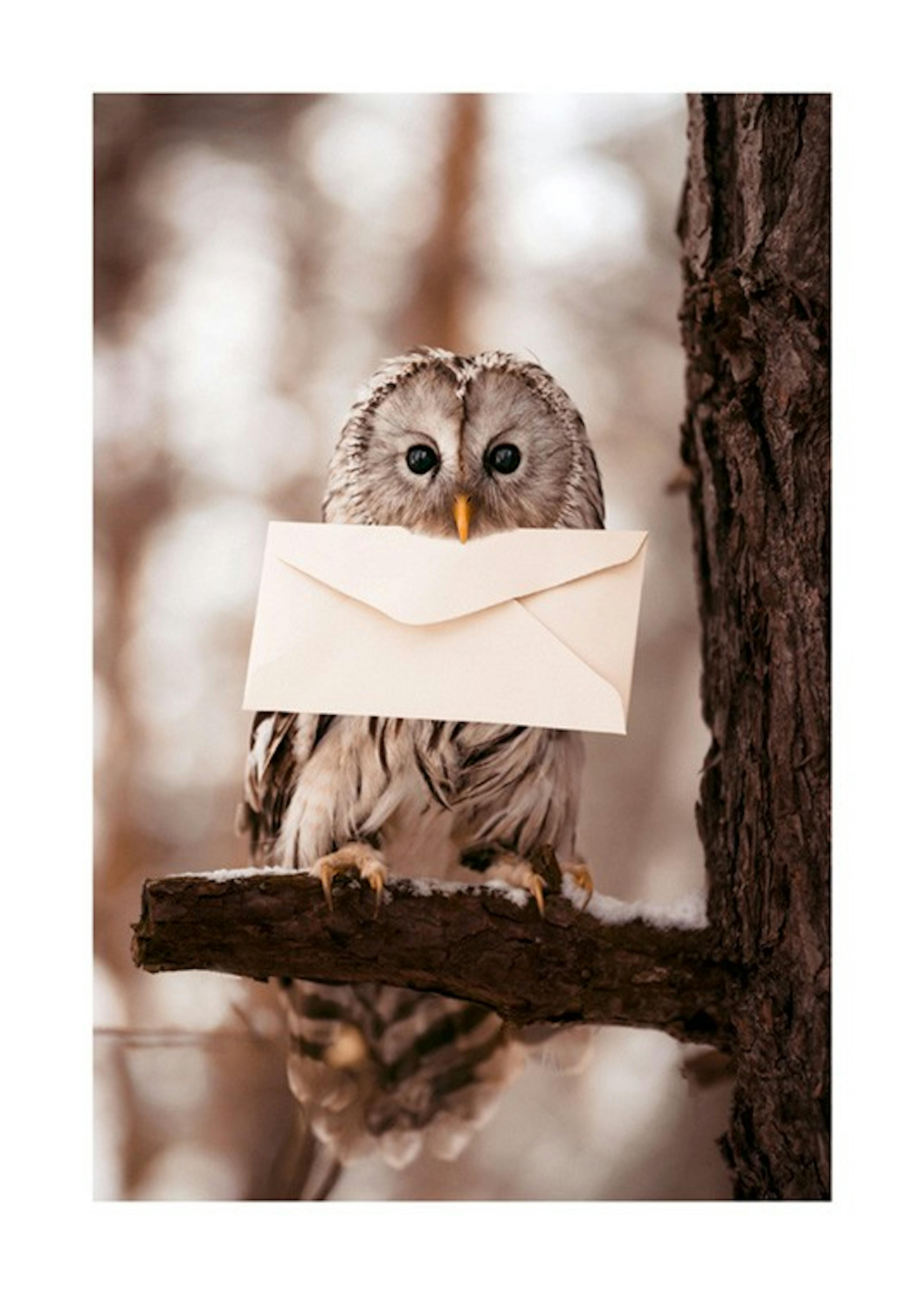 Letter Owl Poster 0