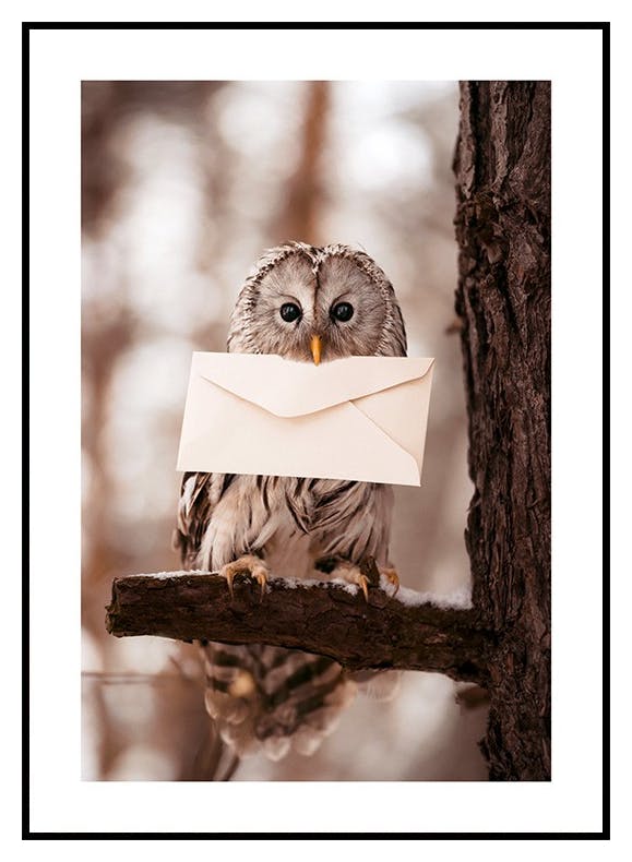 Brev Uggla Poster (21x30 cm) - Poster Store