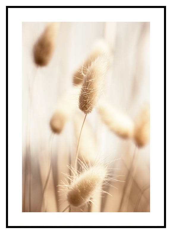Beige Kaninhale Gress Plakat (21x30 cm) - Poster Store