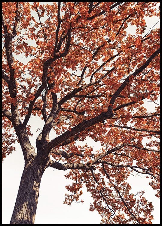 Driving Home for Christmas Poster | Verschneite Winterlandschaft ... Driving Home for Christmas Poster | Verschneite Winterlandschaft ...