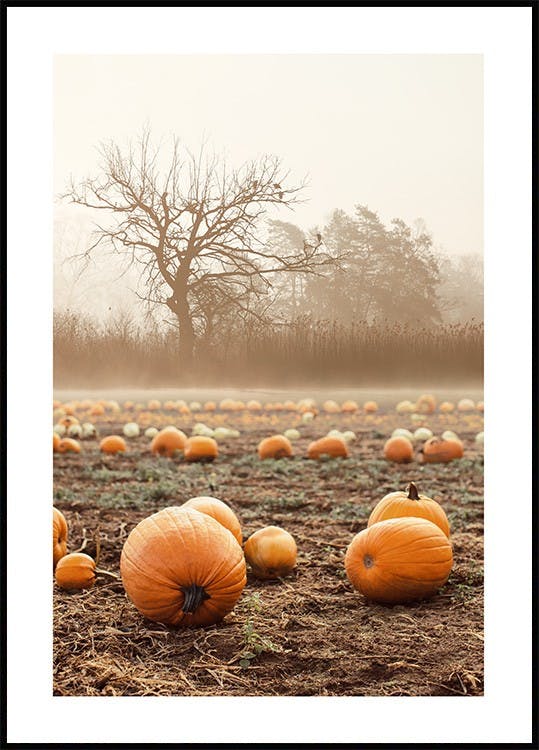Are you ready for Halloween yet? 👻🎃 Poster Store
