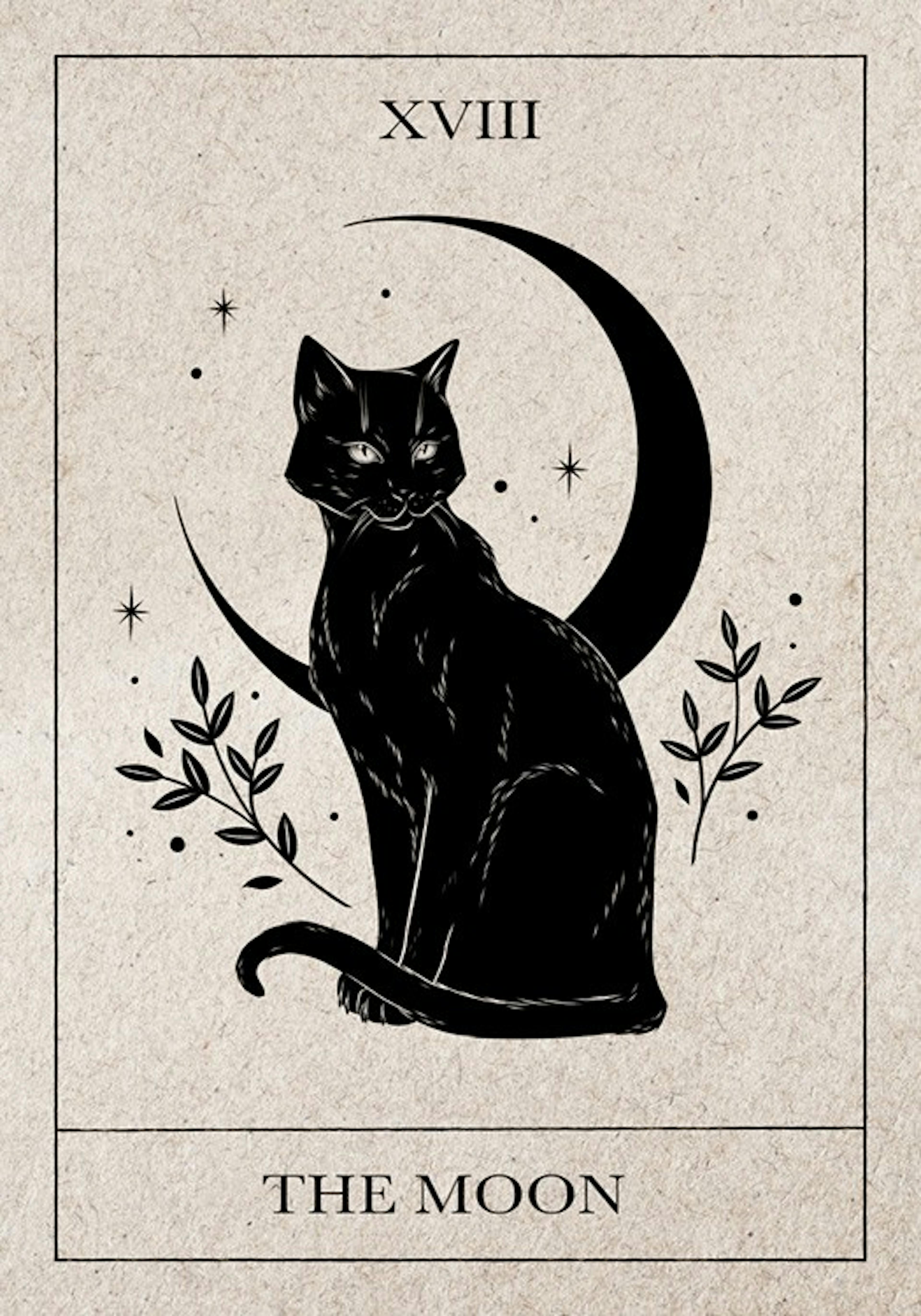 Tarot lunar Póster 0