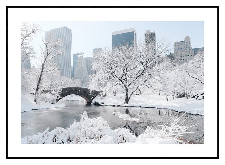 Hiver à New York Poster - Poster Store