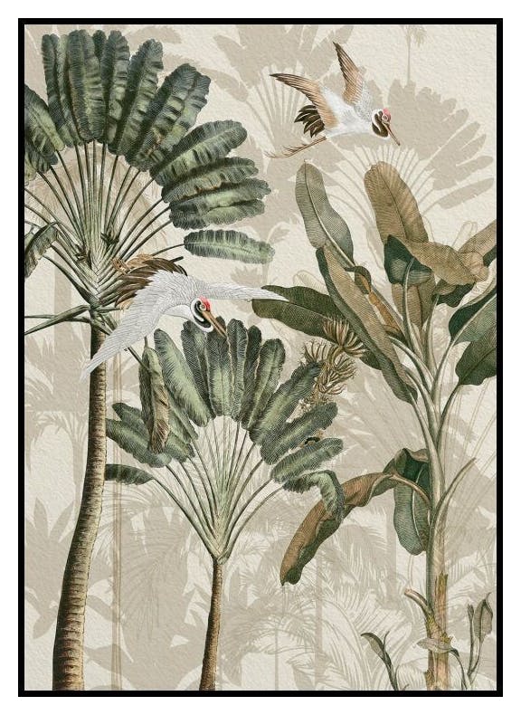 Żurawie w lesie deszczowym Plakat (30x40 cm) - Poster Store