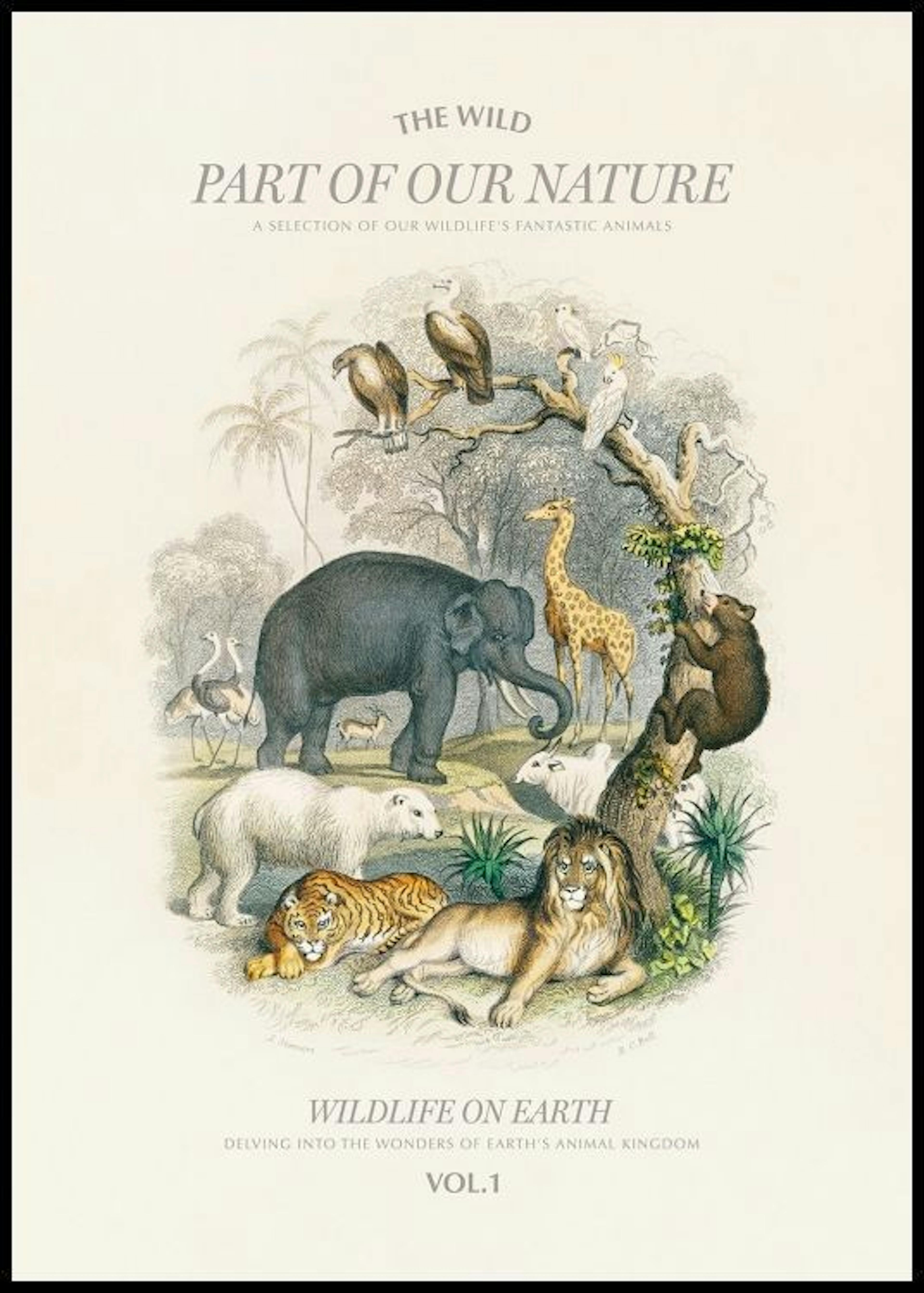 Wildlife on Earth Poster 0