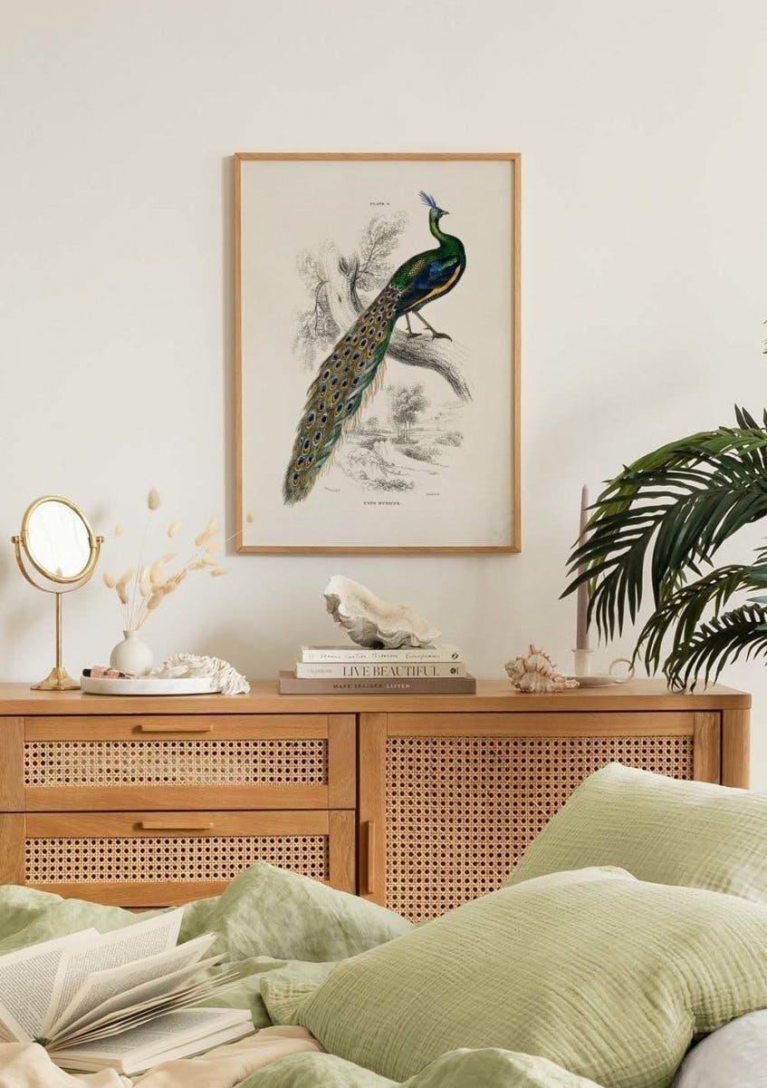 Peafowl Portrait Poster (50x70 cm) - Poster Store
