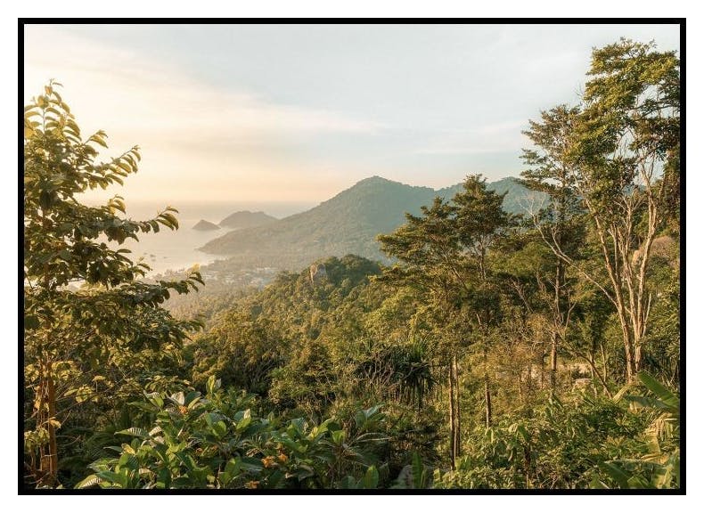 Poster Tropical Serenity (50x70 cm) - Poster Store