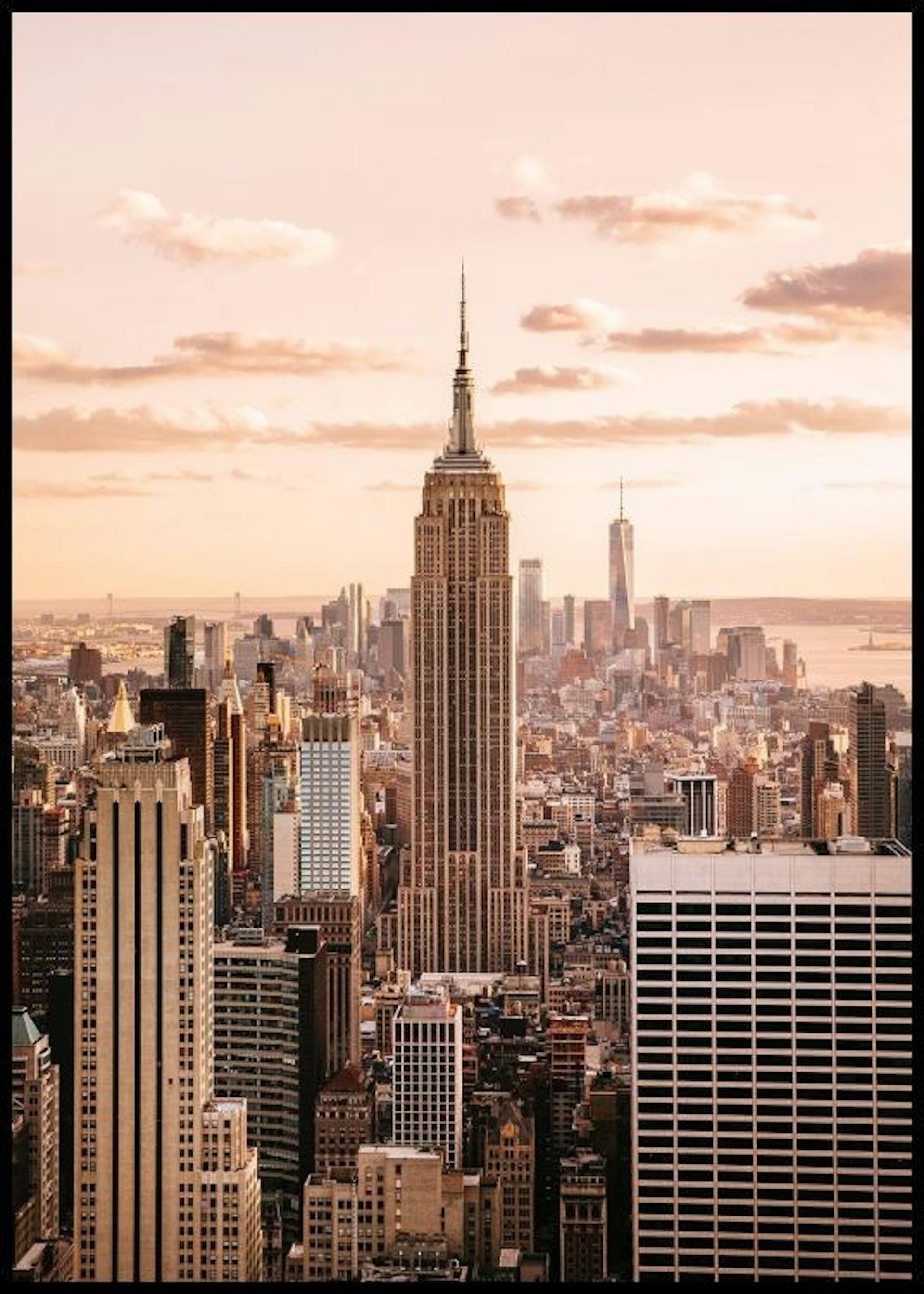 Special offers Discount codes Posterstore.jp