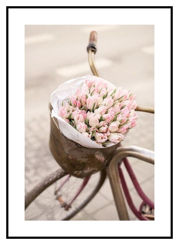 Prints Pink Tulips on Bicycle Poster (50x70 cm) - Poster Store