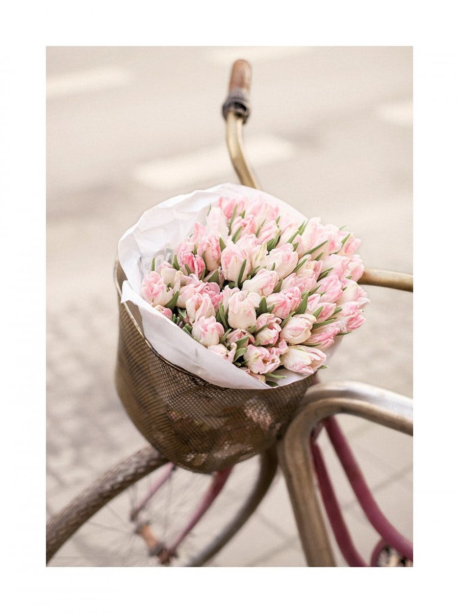 Różowe tulipany na rowerze Plakat 0
