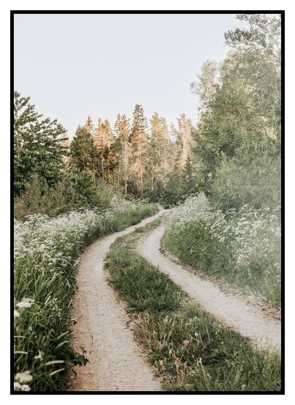Promenade Matinale en Forêt Poster (30x40 cm) - Poster Store