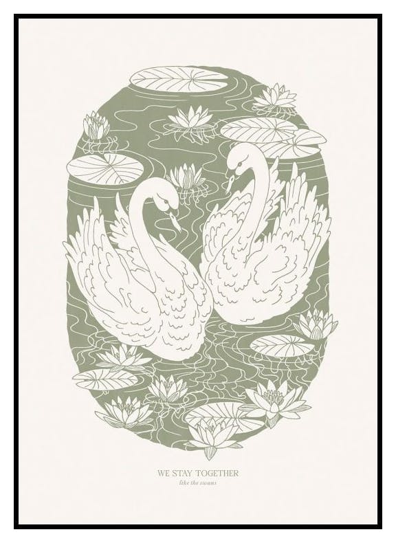 Jak łabędzie Plakat (50x70 cm) - Poster Store
