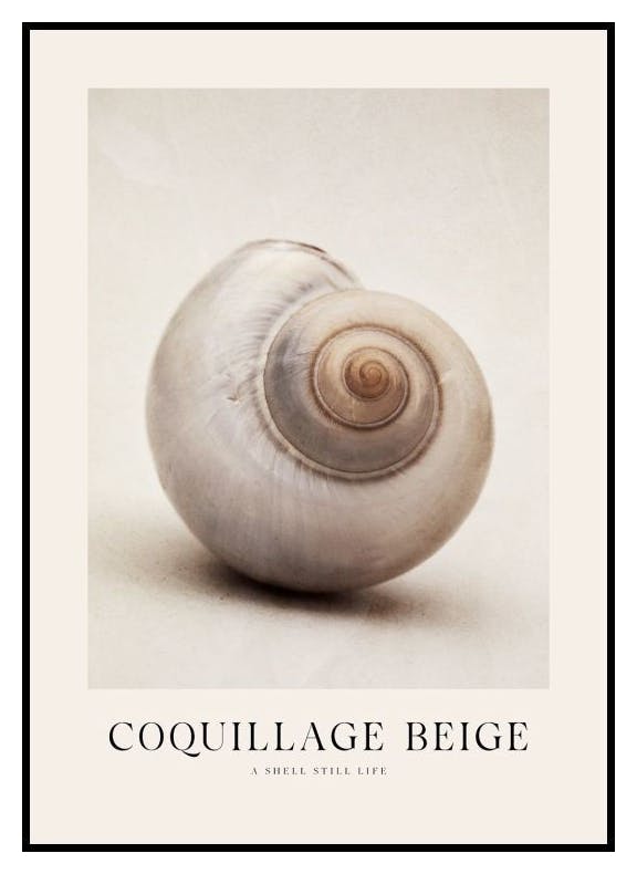 Coquillage Beige Poster (30x40 cm) - Poster Store
