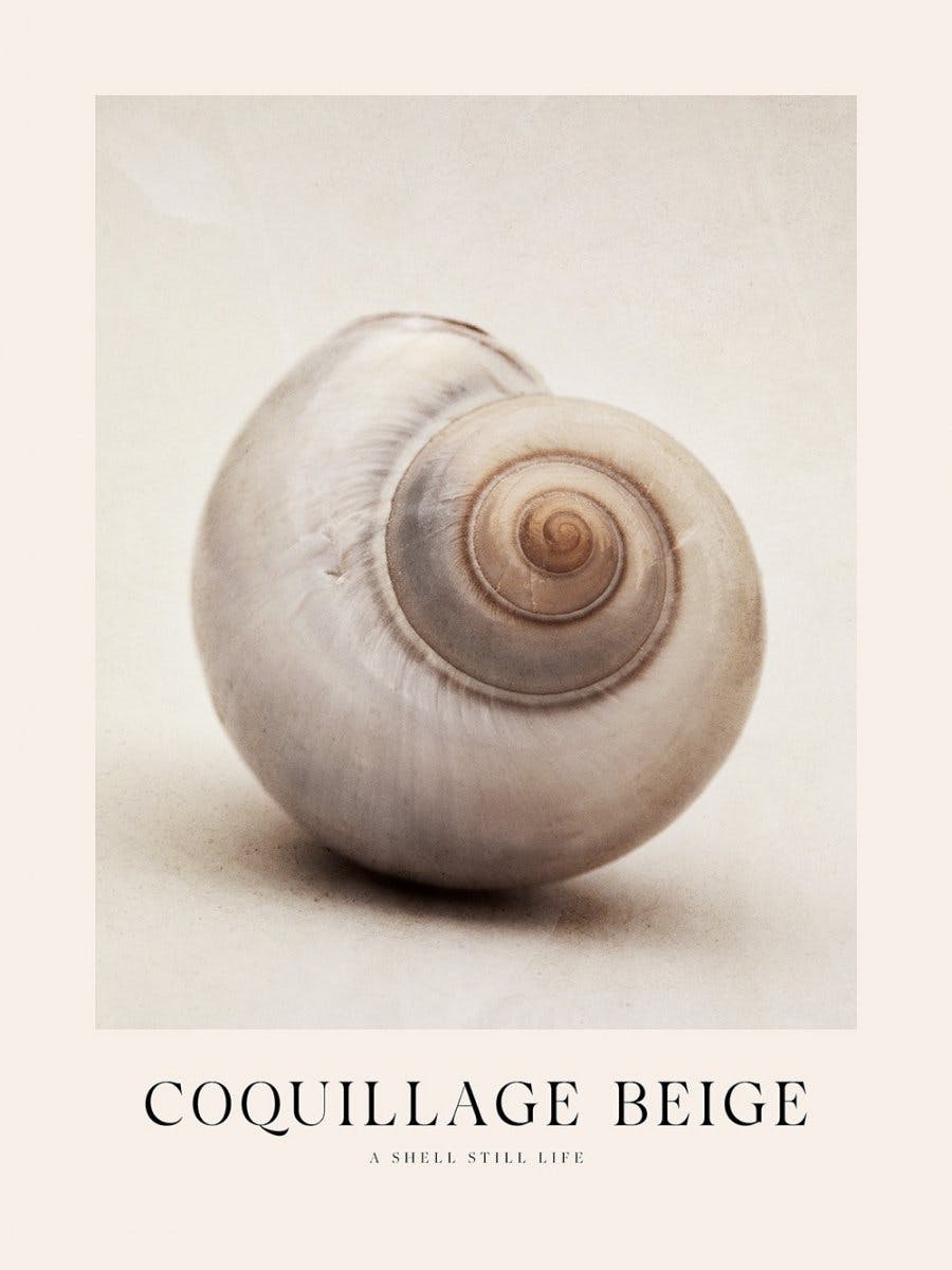 Coquillage Beige Poster 0