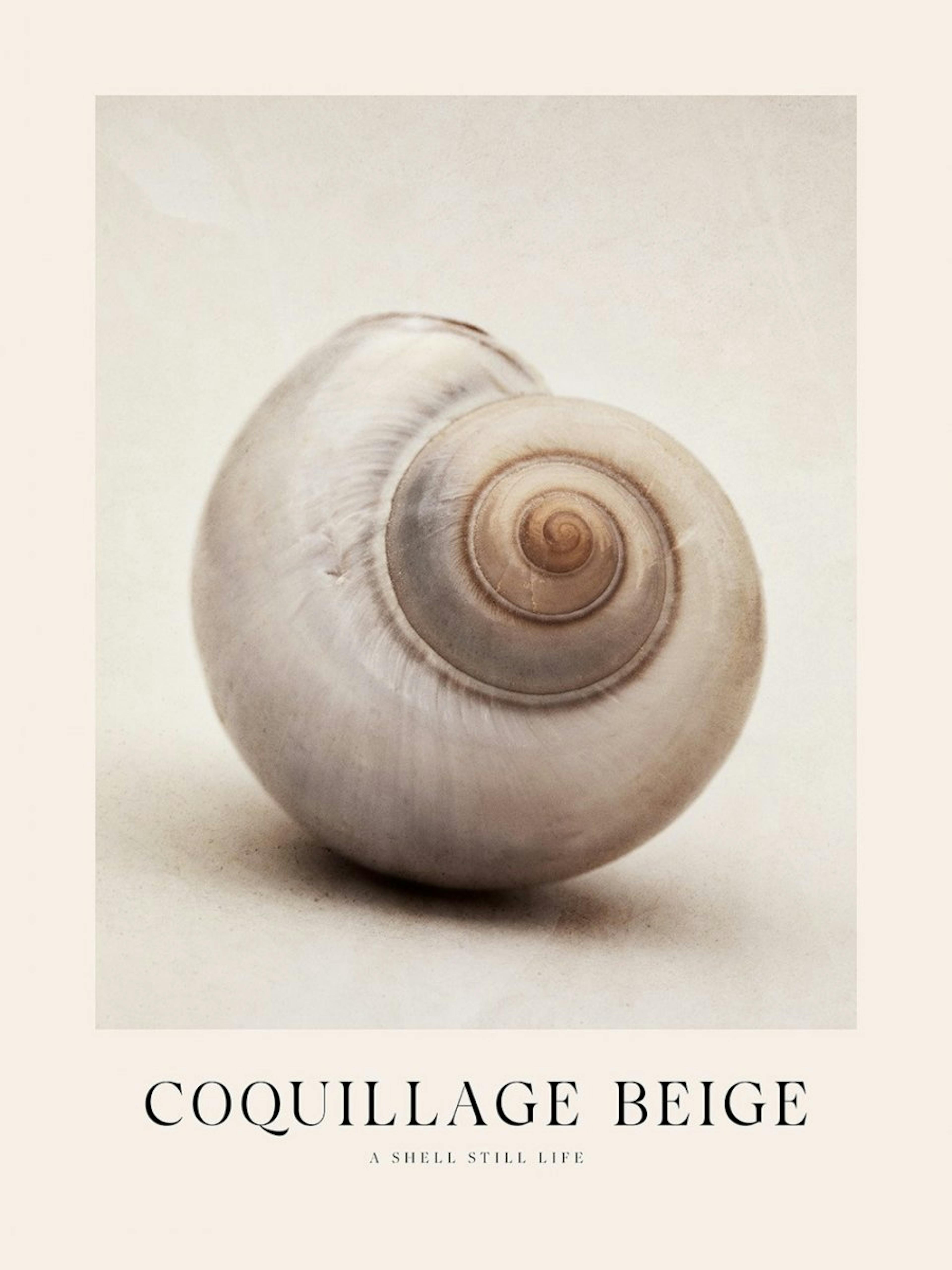 Beige Coquillage Poster 0