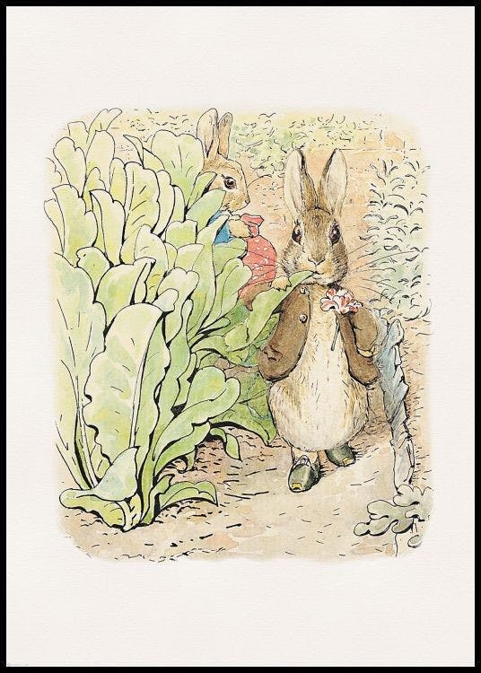 Peter Rabbit Illustration Poster | Watercolor Poster Rabbit | Whimsical ...