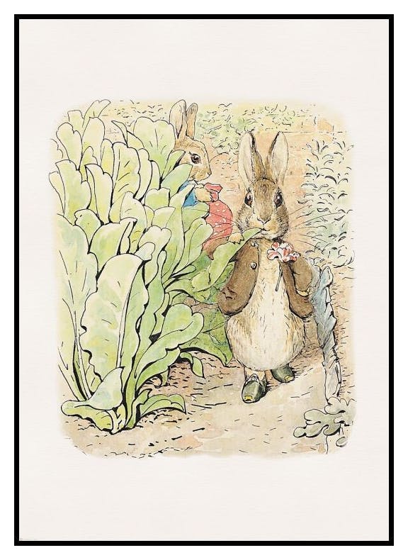 Peter Rabbit and Friends No2 Plakat (21x30 cm) - Poster Store