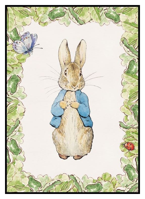 Peter Rabbit Portrait Affiche (21x30 cm) - Poster Store