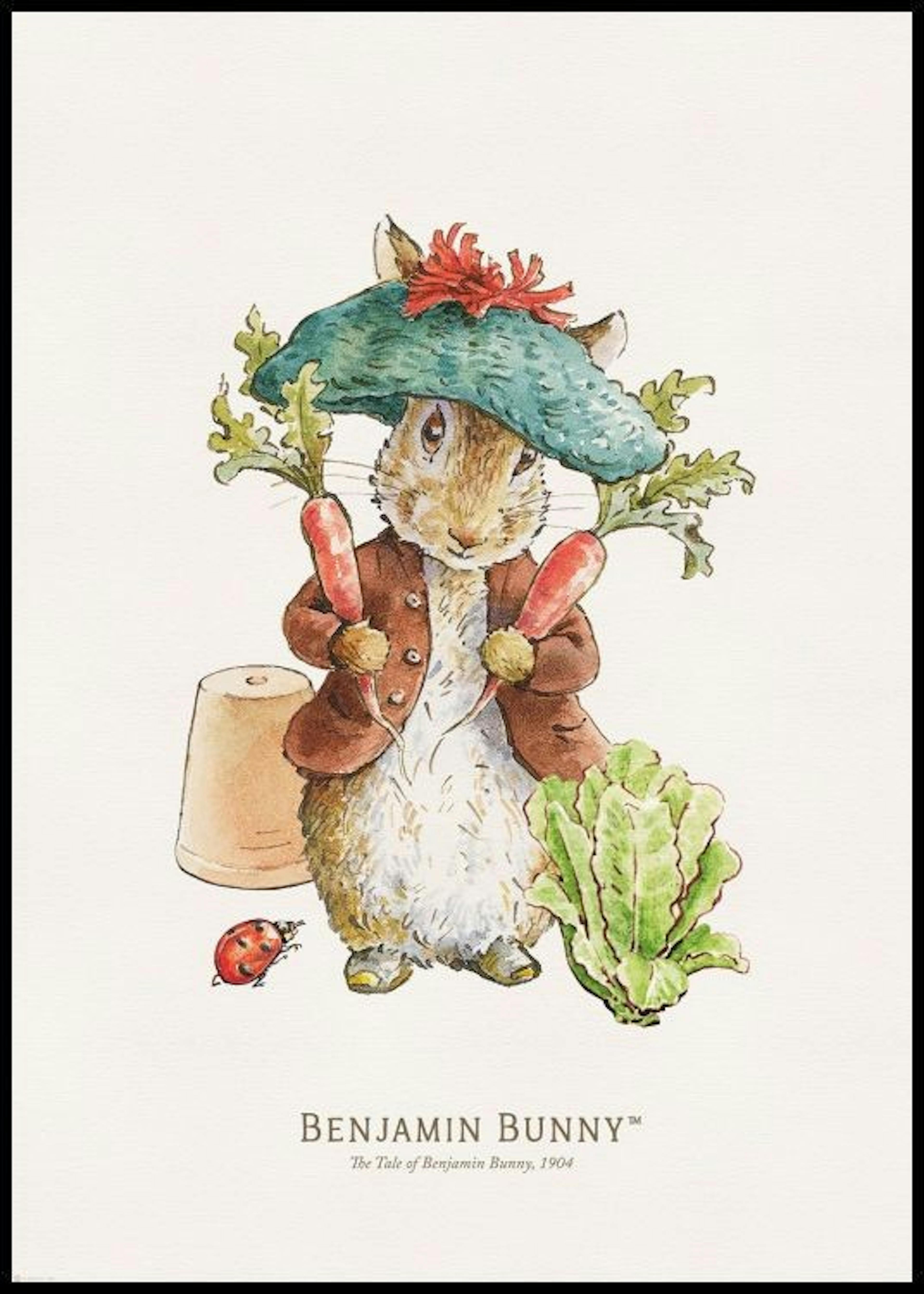 Peter Rabbit - Benjamin Bunny Illustration Plakat 0