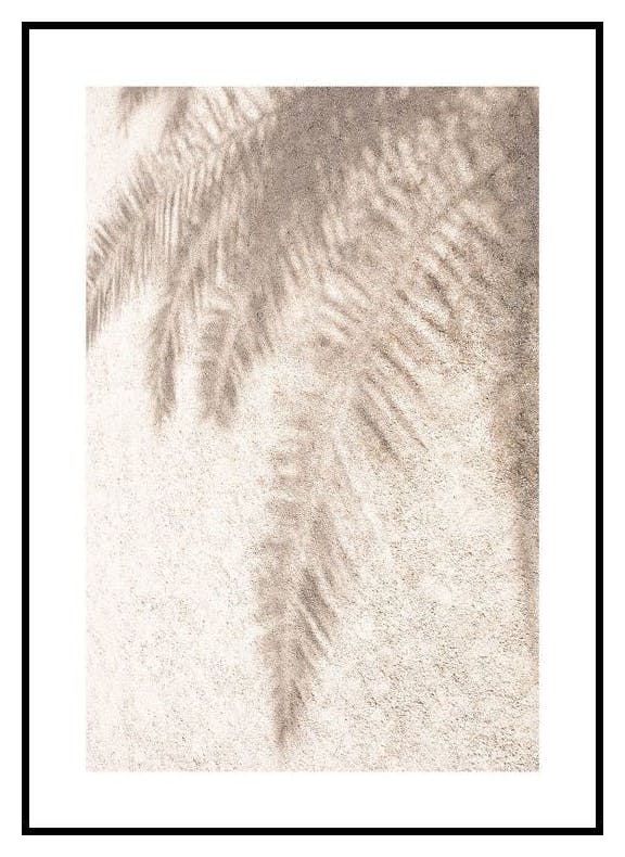 Palmowy Cień - Plakat (50x70 cm) - Poster Store