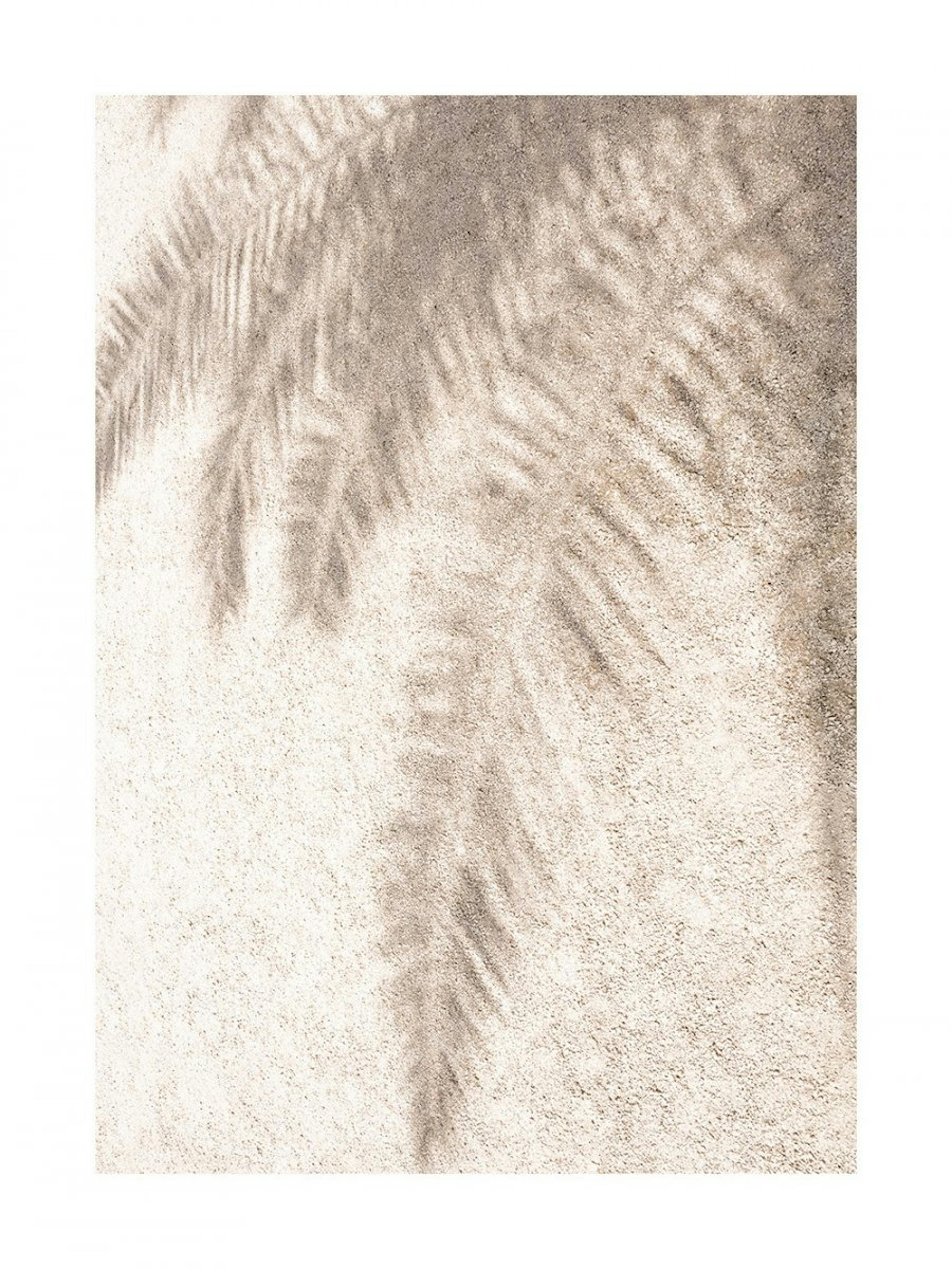 Poster met Palm Schaduwen 0
